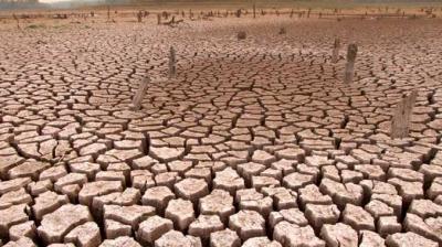 IEP report suggests 2.8 billion people would have to live in dangerous places by 2050