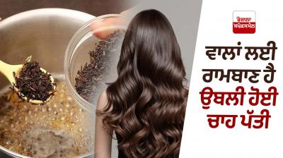 Boiled tea leaves are a panacea for hair Beauty Tips