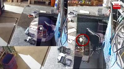 Rat escapes with Rs 500 note, captured on CCTV
