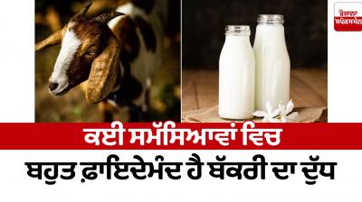 Goat milk is very useful in many problems Health News