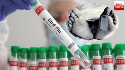 Mexico bird flue Death News