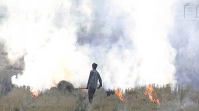  60 percent of stubble burning cases in Punjab came from Tarn Taran, Amritsar, Gurdaspur