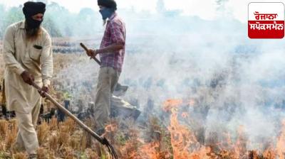 Punjab Straw Burning