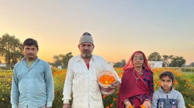  Flower farming changed the life of 3 brothers, today they are earning lakhs of rupees by flower farming 
