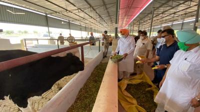  Health Minister Sidhu inaugurates Punjab's first modern Gaushala