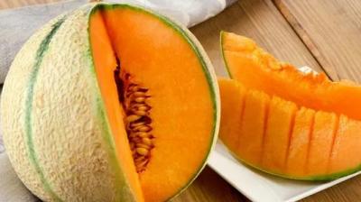 Melon