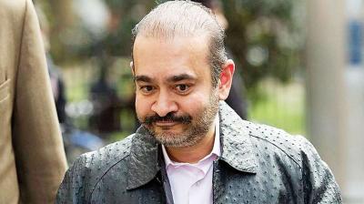 nirav modi