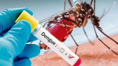 dengu