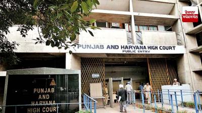 punjab and haryana high court