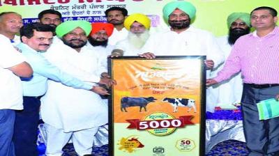 Sukhjinder Singh randhava Launching Brand
