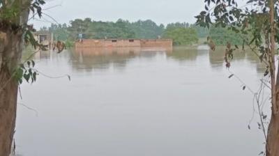 Flood alert in Dinanagar after release of water from Pong Dam