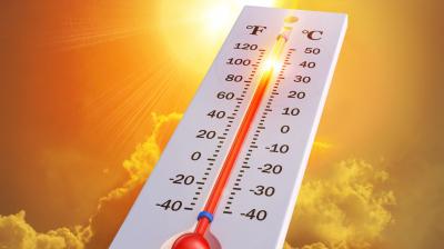 July 2023 set to be world's hottest month on record