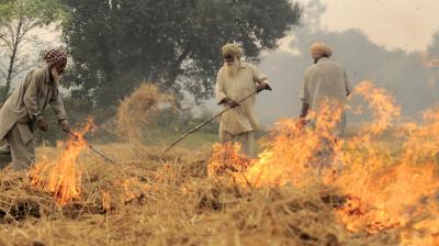 Straw Burning