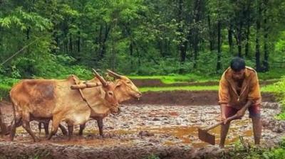 Pradhan Mantri Kisan Maan Dhan Yojana 