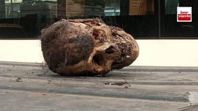 Amritsar News: human skull found at taxi stand near Durgiana Temple