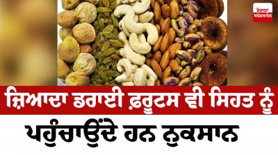Excess dry fruits are also harmful to Health News in punjabi