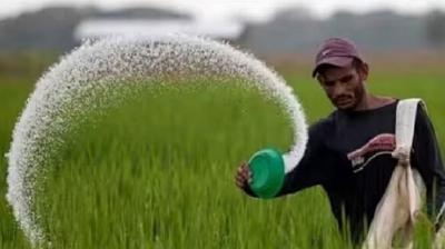 Cabinet approves Rs 24,475 crore subsidy on P&K fertilizers for rabi season