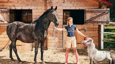 World Smallest Horse