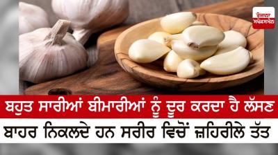 Garlic cures many diseases