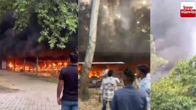 Zirakpur News: E-vehicles caught fire in Chhatbir Zoo, loss worth lakhs of rupees
