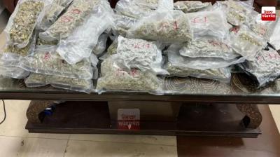 7.7 kg of ganja seized at Amritsar airport