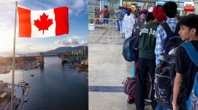 Punjabis spent more than 229 billion rupees during the last year to study in Canada