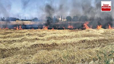 Protect the ripe wheat crop from fire.