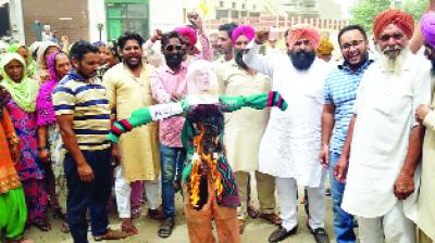 Congressmen Protesting