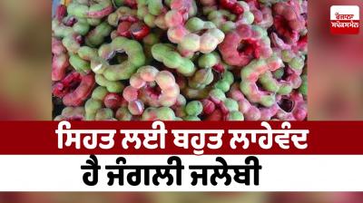 Wild jalebi is very beneficial for Health News