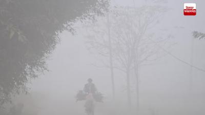 Punjab Weather Update