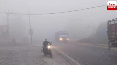 Cold wave continues in Punjab and Chandigarh