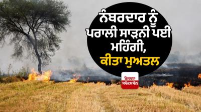 Numberedar Suspended in the case of stubble burning