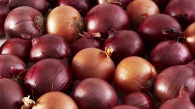 Onion prices are above rupees 100 per kg bothering people and government both