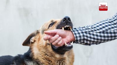 ਰੇਬੀਜ਼ ਸੰਕਰਮਿਤ ਜਾਨਵਰਾਂ ਦੇ ਥੁੱਕ ਰਾਹੀਂ ਕੱਟਣ, ਖੁਰਚਣ, ਜਾਂ ਅੱਖਾਂ, ਮੂੰਹ ਜਾਂ ਖੁੱਲ੍ਹੇ ਜ਼ਖ਼ਮਾਂ ਦੇ ਸੰਪਰਕ ਰਾਹੀਂ ਫੈਲਦਾ