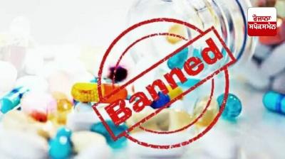 Central government bans painkiller nimesulide above 100 mg