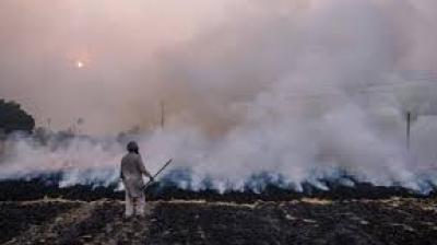  8500 nodal officers deputed at hotspot villages in Punjab to ensure zero stubble burning