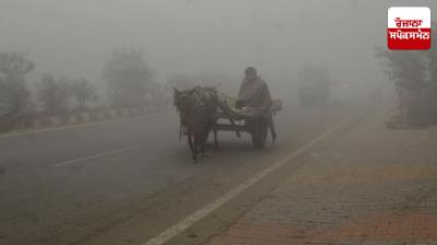 Temperatures drop sharply in Haryana due to cold weather