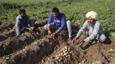 Modi government can change the expectations of farmers
