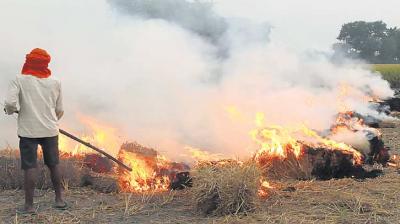 stubble burning