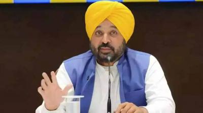 Use of only green firecrackers on Diwali in Punjab: Government has taken a decision