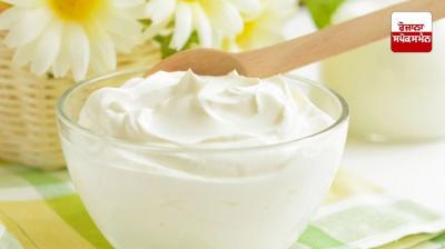 Yogurt should be eaten in winter or not Health News in punjabi 
