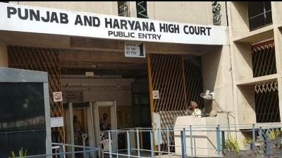 Punjab Haryana High Court 