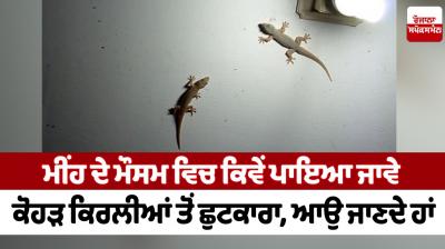 How to get rid of leprous lizards in rainy season News