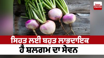 Consuming turnip is very beneficial for health News