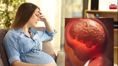 Maternal stress affects the fetal brain News In Punjabi