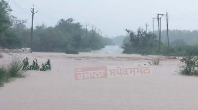 Rain fury in north India; several killed
