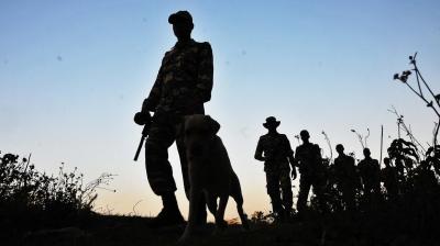 Image: For representation purpose only.