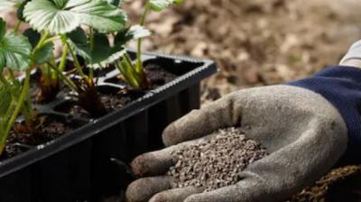 Corona virus lock down iffco fertiliser distribution among farmers