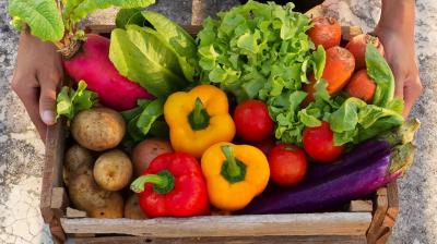 Farming News: Grow green vegetables at home for daily use