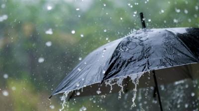Monsoon will be active in Punjab-Chandigarh till September 5: Chance of rain in 7 districts
